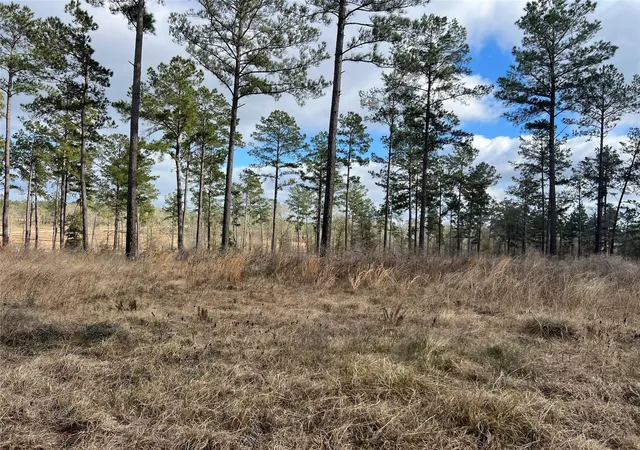 Photo 1 of Land for sale at Tbd 7 Red Lowe Rd, Livingston, TX 77351 | MLS# 39734006 | Listing updated on 2026-09-07