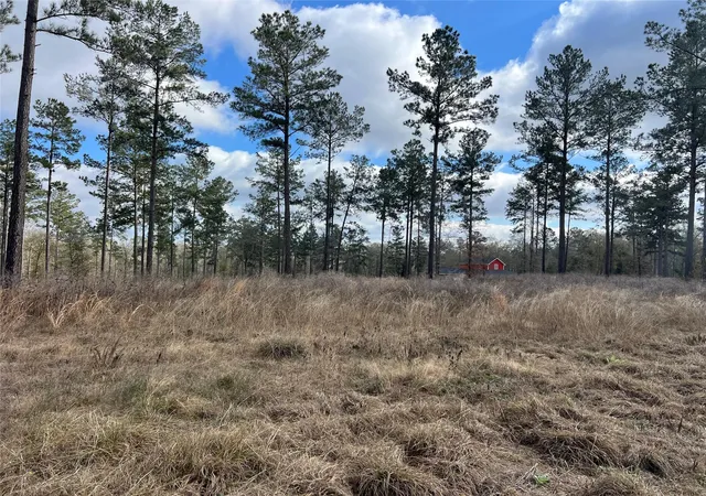 Photo 2 of Land for sale at Tbd 7 Red Lowe Rd, Livingston, TX 77351 | MLS# 39734006 | Listing updated on 2026-09-07