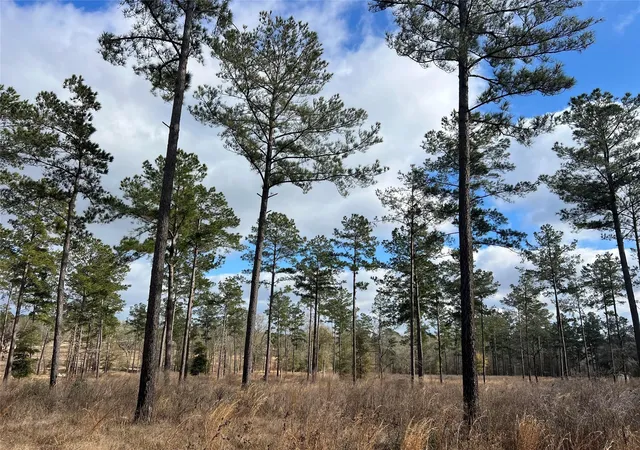 Photo 3 of Land for sale at Tbd 7 Red Lowe Rd, Livingston, TX 77351 | MLS# 39734006 | Listing updated on 2026-09-07