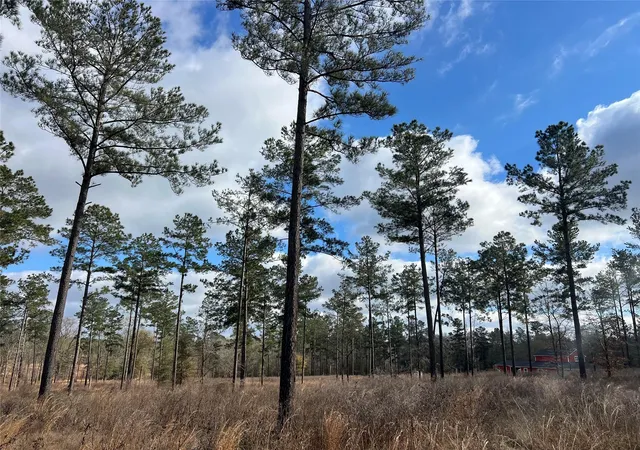 Photo 3 of Land for sale at Tbd 7 Red Lowe Rd, Livingston, TX 77351 | MLS# 39734006 | Listing updated on 2026-09-07