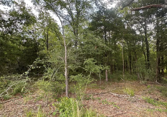 Photo 4 of Land for sale at Tr 1 Fm 489, Buffalo, TX 75831 | MLS# 40006357 | Listing updated on 2026-08-06