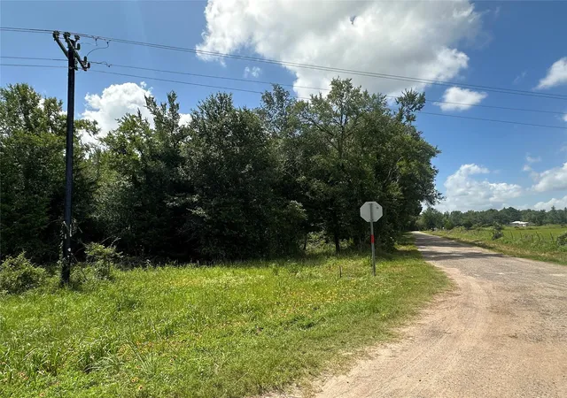 Photo 9 of Land for sale at Tr 1 Fm 489, Buffalo, TX 75831 | MLS# 40006357 | Listing updated on 2026-08-06