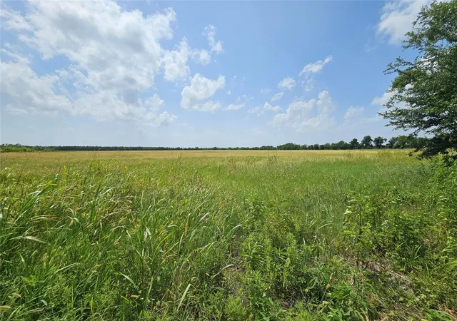 image of Ctr Peters Rd, Crosby, TX 77532 | MLS# 50267955