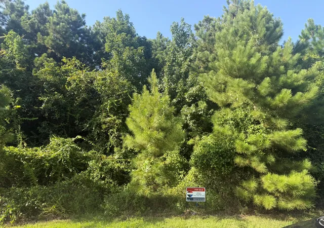 Photo 1 of Land for sale at 2303 County Rd 3405, Cleveland, TX 77327 | MLS# 94612032 | Listing updated on 2026-10-09