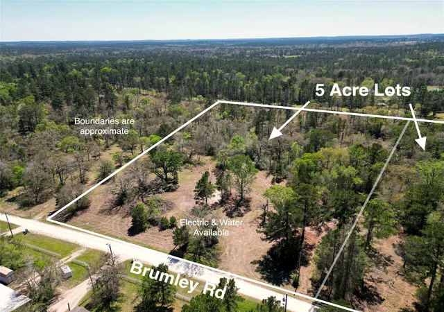 Homes for sale in Huntsville, TX | 48 Brumley Rd, Huntsville, TX 77320 | MLS# 96281119