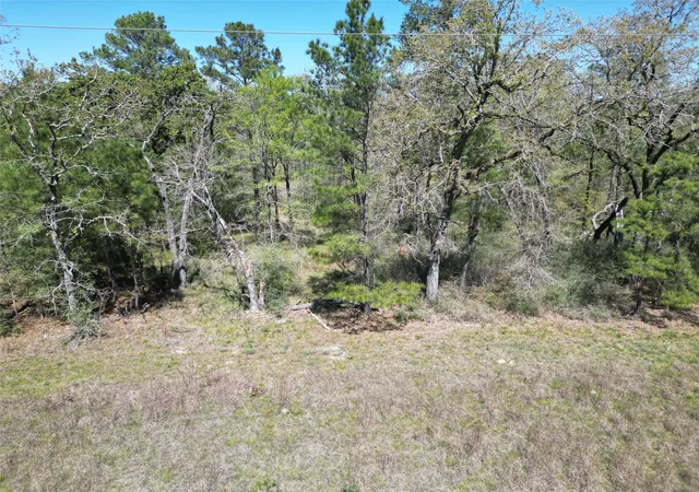 Homes for sale in Huntsville, TX | 48 Brumley Rd, Huntsville, TX 77320 | MLS# 96281119