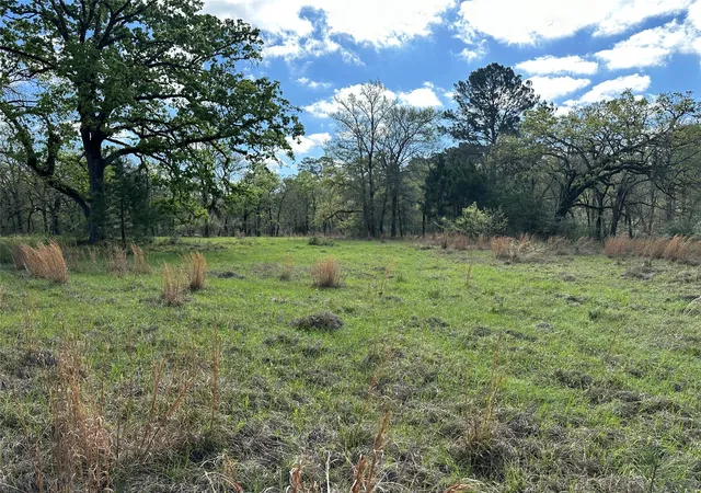 Homes for sale in Huntsville, TX | 48 Brumley Rd, Huntsville, TX 77320 | MLS# 96281119