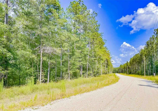 1st image of 9010 Carter Ranch Rd, Kountze, TX 77625 | MLS# 86682749