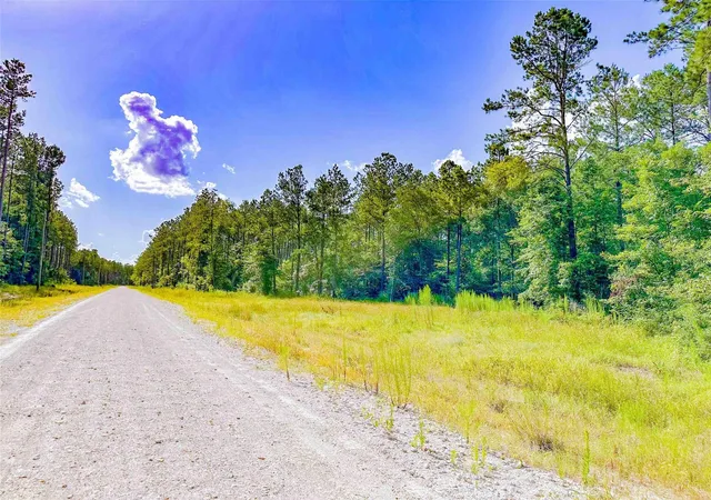 2nd image of 9010 Carter Ranch Rd, Kountze, TX 77625 | MLS# 86682749