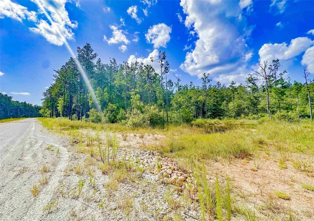 Photo 4 of Land for sale at 9010 Carter Ranch Rd, Kountze, TX 77625 | MLS# 86682749 | Listing updated on 2026-09-28