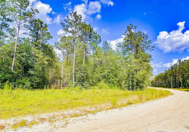 8th image of 9010 Carter Ranch Rd, Kountze, TX 77625 | MLS# 86682749