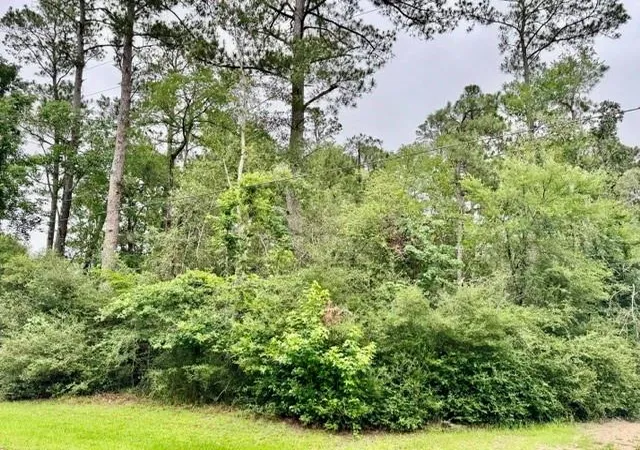 Photo 2 of Land for sale at Tbd01 Cottonwood, Trinity, TX 75862 | MLS# 21088143 | Listing updated on 2026-06-07