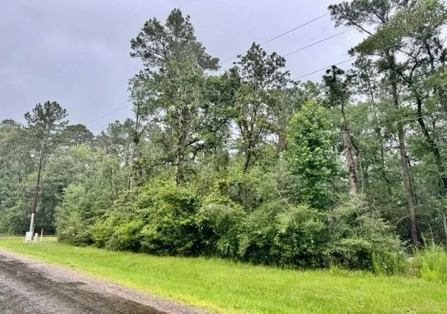 Photo 3 of Land for sale at Tbd01 Cottonwood, Trinity, TX 75862 | MLS# 21088143 | Listing updated on 2026-06-07