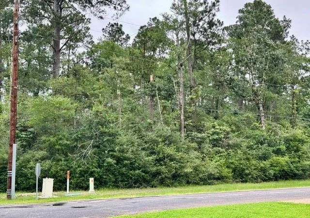 Photo 3 of Land for sale at Tbd01 Cottonwood, Trinity, TX 75862 | MLS# 21088143 | Listing updated on 2026-06-07