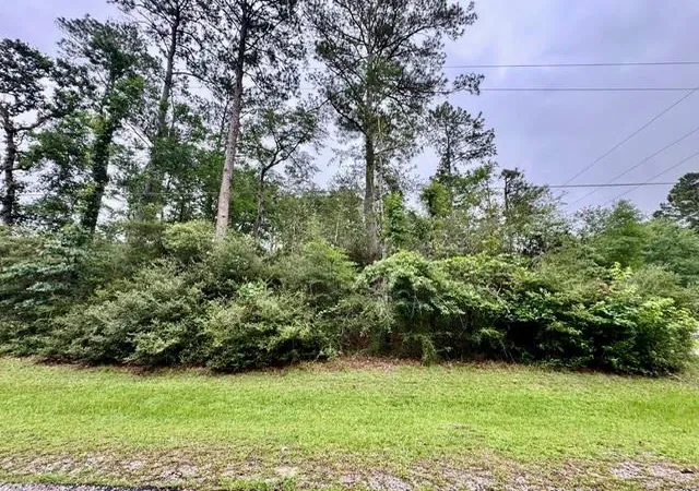 Photo 4 of Land for sale at Tbd01 Cottonwood, Trinity, TX 75862 | MLS# 21088143 | Listing updated on 2026-06-07