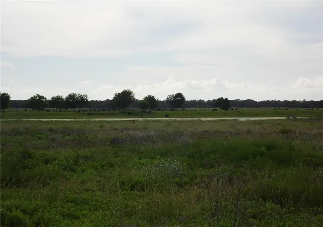 Photo 3 of Land for sale at 154 Bowie Lot 26 Rd, Cedar Lane, TX 77415 | MLS# 37136815 | Listing updated on 2026-08-20