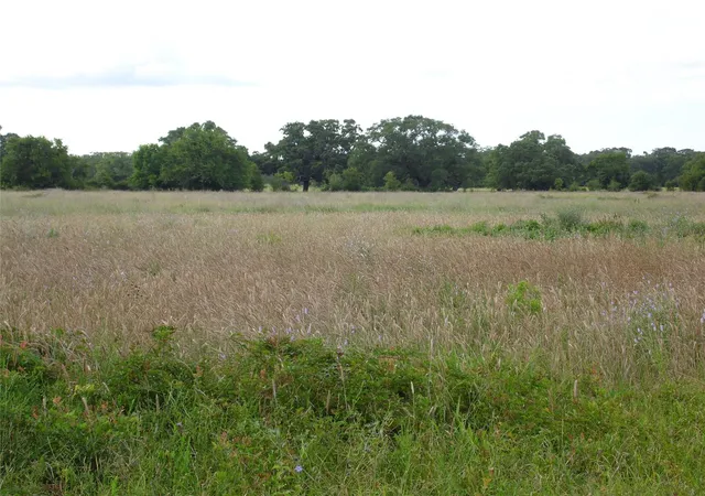 Photo 3 of Land for sale at 154 Bowie Lot 26 Rd, Cedar Lane, TX 77415 | MLS# 37136815 | Listing updated on 2026-08-20