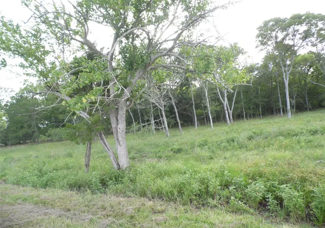 Photo 4 of Land for sale at 154 Bowie Lot 26 Rd, Cedar Lane, TX 77415 | MLS# 37136815 | Listing updated on 2026-08-20