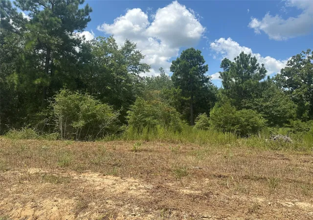 Photo 3 of Land for sale at 0000 Cr 322, Jewett, TX 75846 | MLS# 73180602 | Listing updated on 2026-08-20