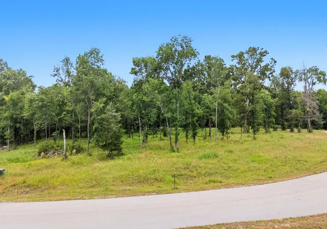 Photo 3 of Land for sale at Tbd Private Rd 5150, Palestine, TX 75801 | MLS# 63807872 | Listing updated on 2026-08-24