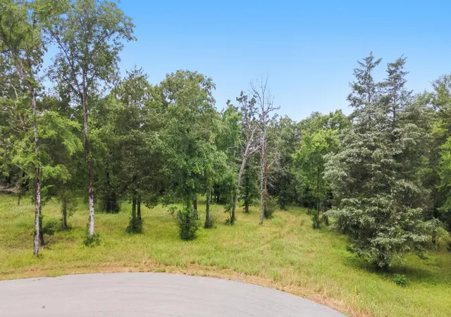 Photo 4 of Land for sale at Tbd Private Rd 5150, Palestine, TX 75801 | MLS# 63807872 | Listing updated on 2026-08-24