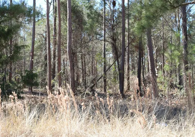 4th image of 2-1 N Hwy 356, Onalaska, TX 77360 | MLS# 84146546