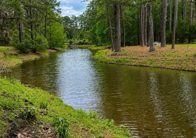 1st image of 1539 Weishuhn Rd, New Ulm, TX 78950 | MLS# 70942161