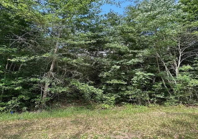 Photo 4 of Land for sale at Tbd 3 County Rd 2223 B, Cleveland, TX 77327 | MLS# 97637624 | Listing updated on 2026-05-26