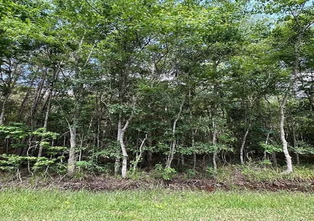 Photo 8 of Land for sale at Tbd 3 County Rd 2223 B, Cleveland, TX 77327 | MLS# 97637624 | Listing updated on 2026-05-26