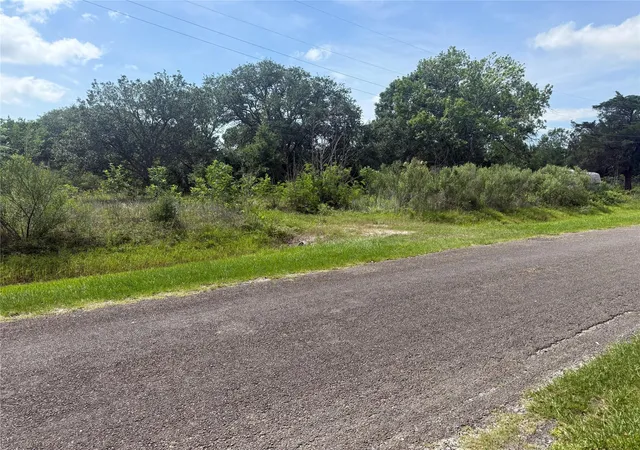 Homes for sale in Anahuac, TX | 0 Hall St, Anahuac, TX 77514 | MLS# 46201853