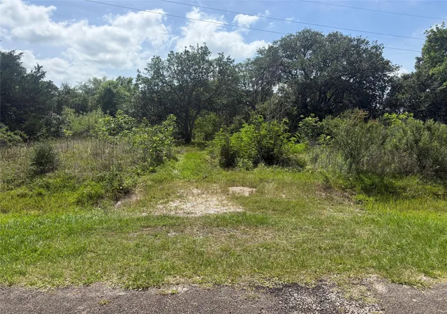 Homes for sale in Anahuac, TX | 0 Hall St, Anahuac, TX 77514 | MLS# 46201853