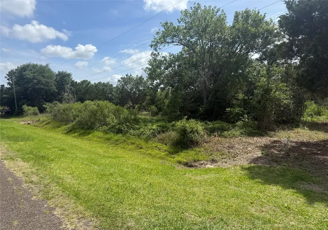 Photo 3 of Land for sale at 0 Hall St, Anahuac, TX 77514 | MLS# 46201853 | Listing updated on 2026-06-23