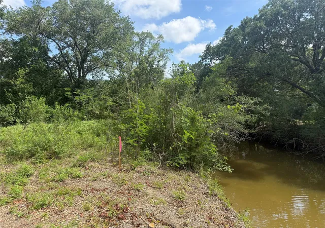 Homes for sale in Anahuac, TX | 0 Hall St, Anahuac, TX 77514 | MLS# 46201853
