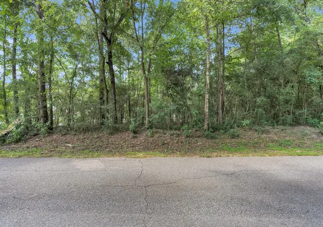 Photo 3 of Land for sale at 00 Evergreen Ln, Montgomery, TX 77356 | MLS# 75532373 | Listing updated on 2026-09-18