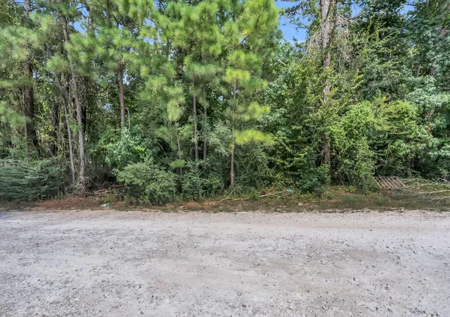 Photo 3 of Land for sale at 00 Evergreen Ln, Montgomery, TX 77356 | MLS# 75532373 | Listing updated on 2026-09-18