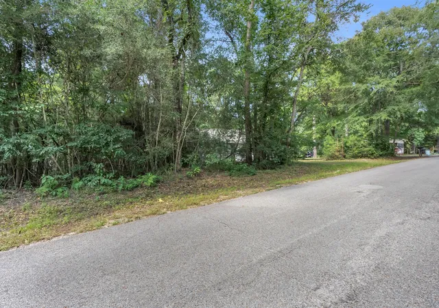 Photo 4 of Land for sale at 00 Evergreen Ln, Montgomery, TX 77356 | MLS# 75532373 | Listing updated on 2026-09-18