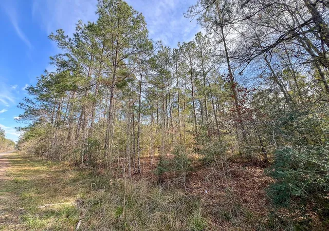 Homes for sale in Mauriceville, TX | T2 Zavalla Road, Mauriceville, TX 77626 | MLS# 97361852