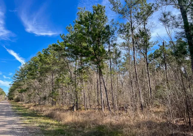 Homes for sale in Mauriceville, TX | T2 Zavalla Road, Mauriceville, TX 77626 | MLS# 97361852