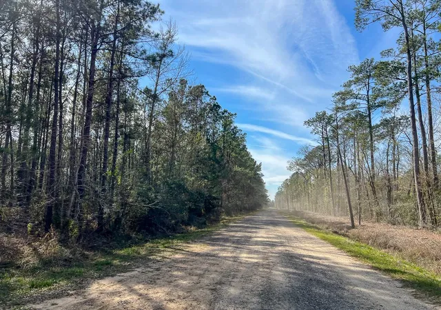 Homes for sale in Mauriceville, TX | T2 Zavalla Road, Mauriceville, TX 77626 | MLS# 97361852