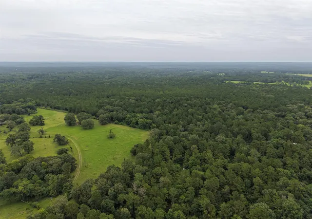 45th image of 13 Pine Needle Ln, New Waverly, TX 77358 | MLS# 44172210