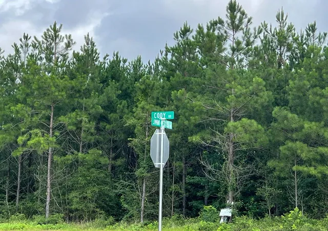 13th image of 1 Cody Road, Livingston, TX 77351 | MLS# 36577147
