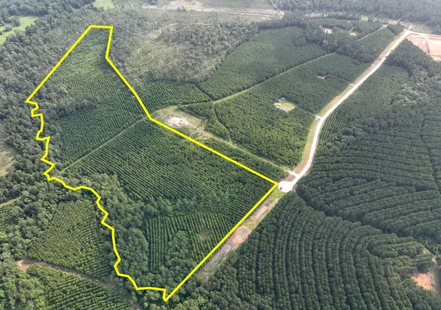 2nd image of 1 Cody Road, Livingston, TX 77351 | MLS# 36577147
