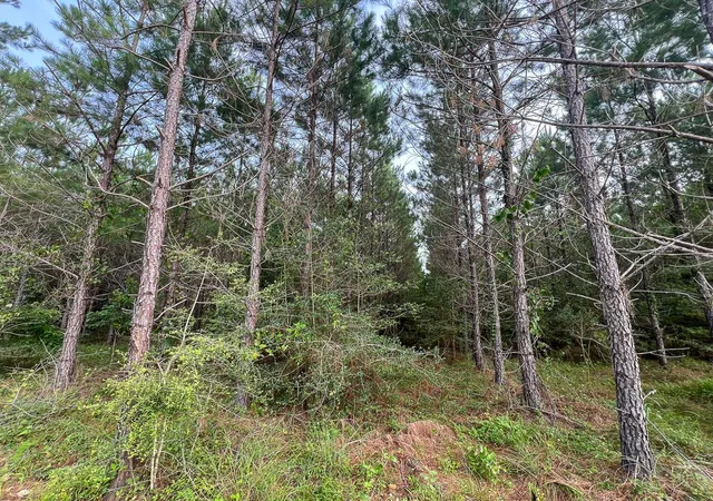 4th image of 1 Cody Road, Livingston, TX 77351 | MLS# 36577147