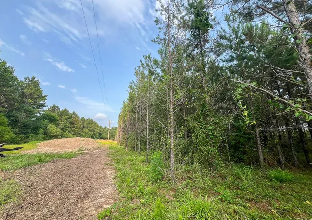 5th image of 1 Cody Road, Livingston, TX 77351 | MLS# 36577147