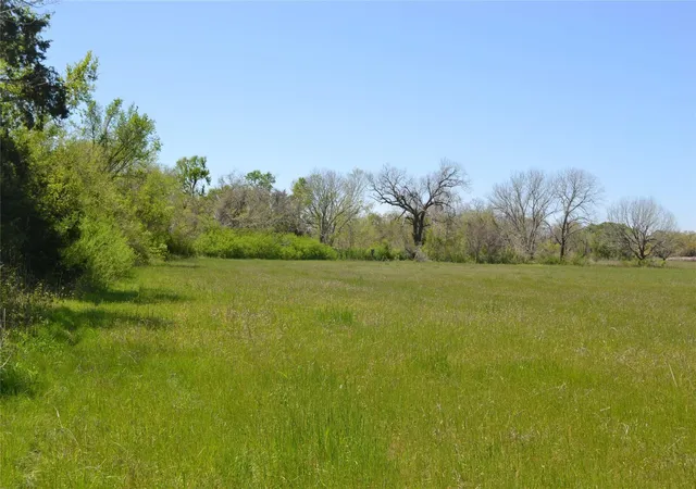 Photo 4 of Land for sale at 5568 Bleiblerville Rd, Bleiblerville, TX 78931 | MLS# 26471176 | Listing updated on 2026-09-16