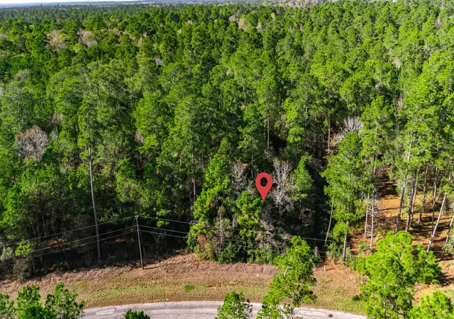 2nd image of Tbd 6 184 Branding Iron Rd, Huntsville, TX 77340 | MLS# 89765445