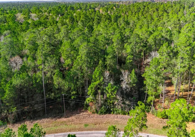 8th image of Tbd 6 184 Branding Iron Rd, Huntsville, TX 77340 | MLS# 89765445