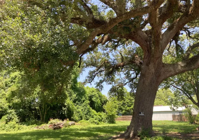 3rd image of 125 Shady Ln, West Columbia, TX 77486 | MLS# 16267370