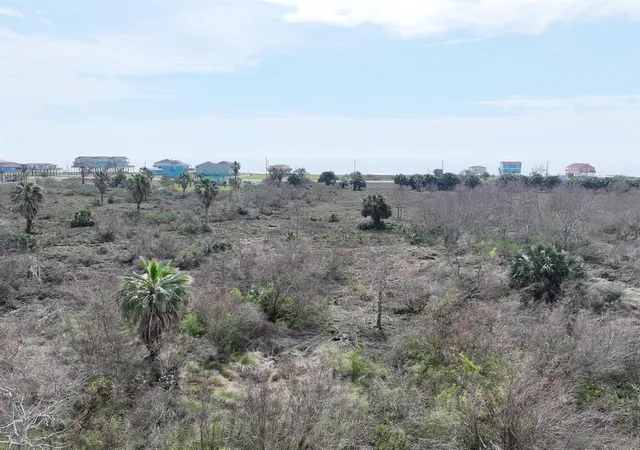 Photo 4 of Land for sale at 1241 Highway 87, Gilchrist, TX 77617 | MLS# 10645087 | Listing updated on 2025-09-16
