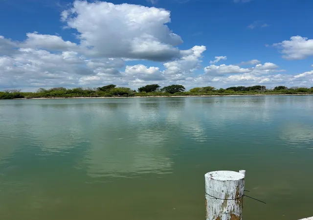 1st image of 1952 Fm 2031, Matagorda, TX 77457 | MLS# 71130881